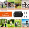 3280ft Remote Dog Training Collar, IP67 Waterproof with Beep, Vibration & Electric Shock