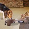 Plastic Framed Double Diner Pet Bowl in Stainless Steel, Large, Gold and Silver
