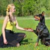 3280ft Remote Dog Training Collar, IP67 Waterproof with Beep, Vibration & Electric Shock