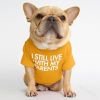 Adorable Bulldog Dog Tee – Starling English Style Pet Clothing